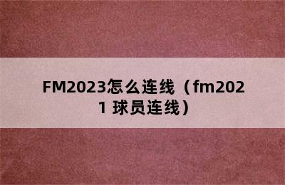 FM2023怎么连线（fm2021 球员连线）